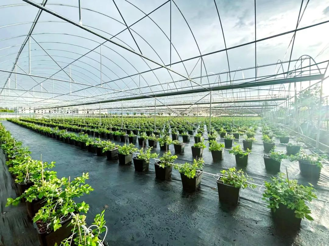 圖片 8.png 圖片 8.png