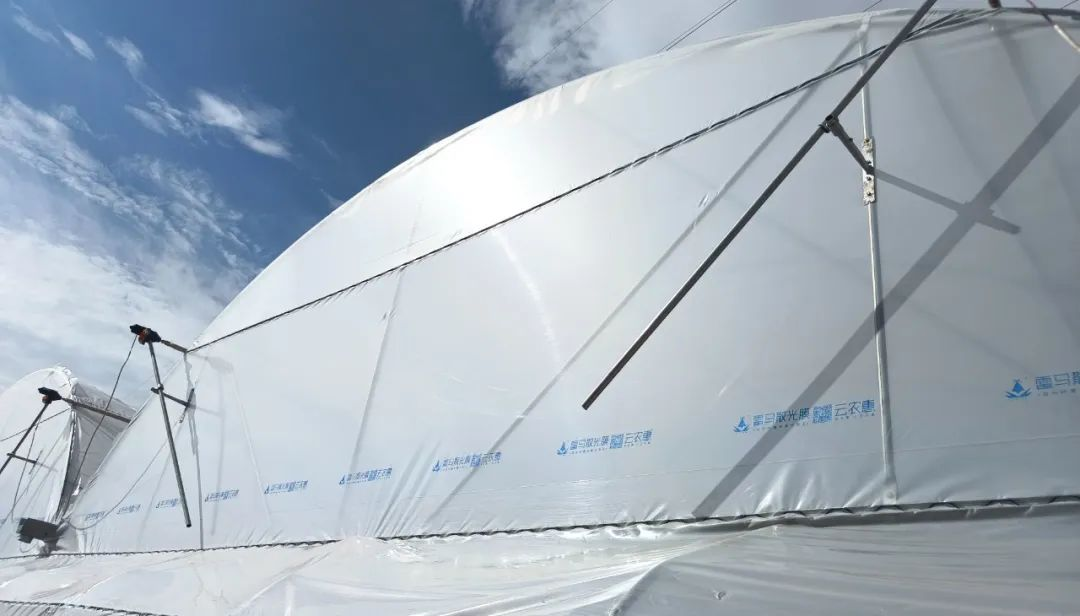 圖片 10.png 圖片 10.png